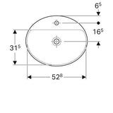 Geberit Variform Opbwst Ovaal 55X45Cm M/Kraangat Z/Overloop Tect/Wit