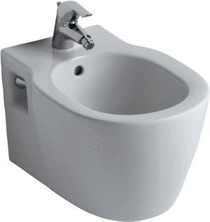 Ideal Standard Connect Wandbidet Met Kraangat Met Overloop Wit Ideal Plus