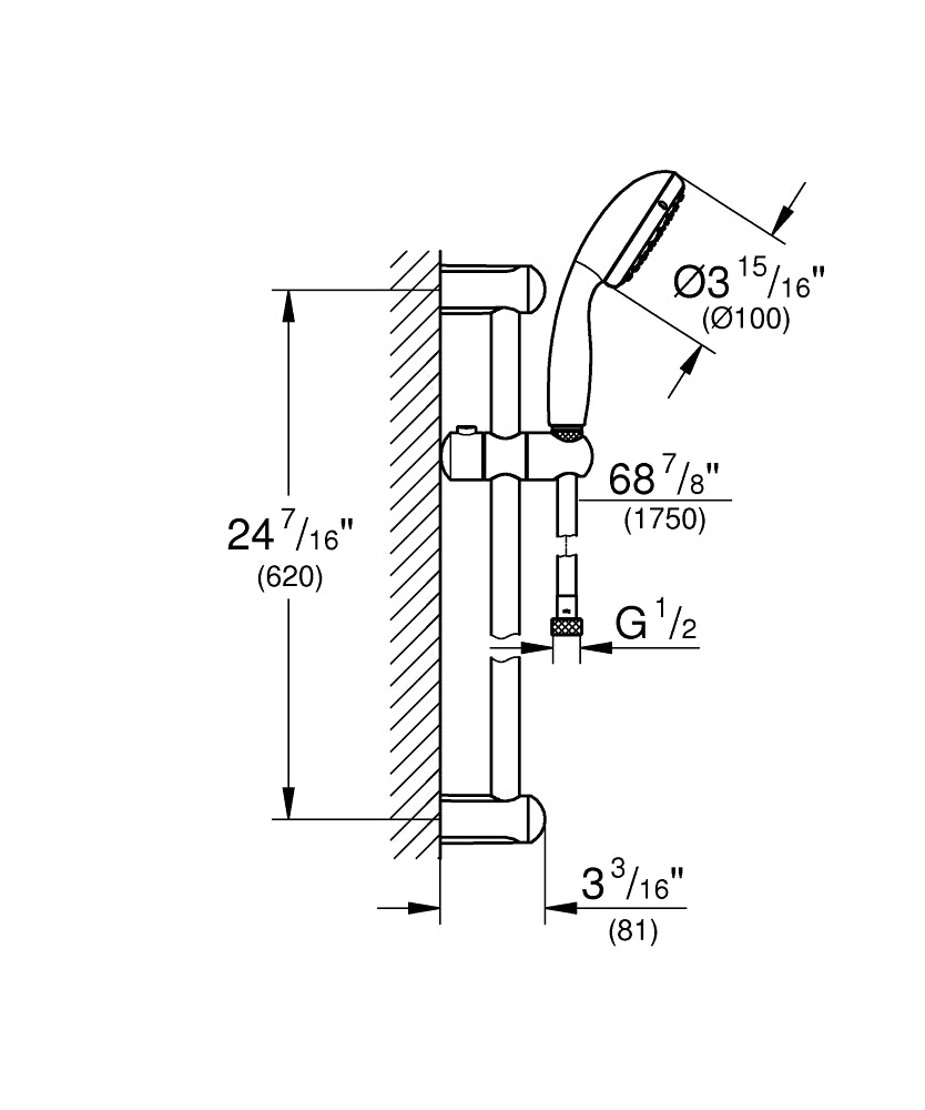 Grohe Professional Tempesta 100 Doucheset 2 Straalsoorten