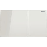 Geberit Bedieningspaneel Closet/Urinoir