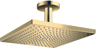 Hansgrohe Hg Overhead Shower Raindance E 300 1Jet Ceiling Pgo