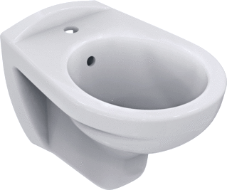 Ideal Standard Eurovit Wandbidet Met Kraangat Met Overloop Wit