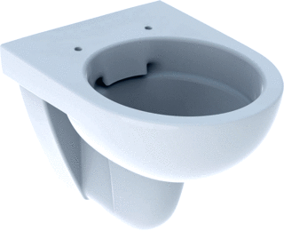 Geberit Renova Compact Wand-Wc Diepspoel Rimfree 48Cm