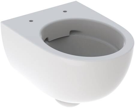 Geberit Renova Compact Wcl Diepspoel Verdekt Rimfree 49Cm Tect/Wit