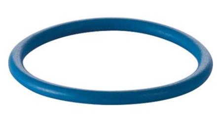 Geberit O-Ring Voor Douchearm Aqc8/8000P