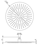 Xenz Meerprijs Extra Optie: Regendouche 30 Cm Pvd Coating Grafiet Geborsteld (=7587)